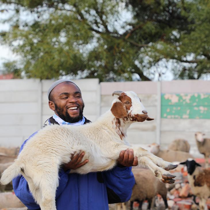 Increase your Qurbani impact - $25 can provide high quality nutrition to livestock