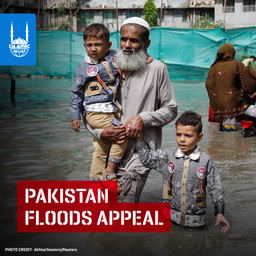 Devastating Flooding in Pakistan: One Year Later